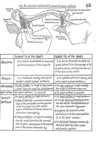 Anatomy of the Upper Limb by Sameh Doss.pdf