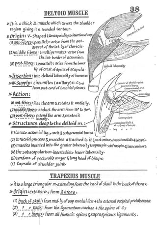 Anatomy of the Upper Limb by Sameh Doss.pdf