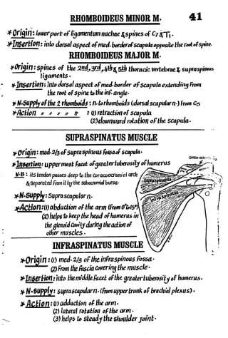 Anatomy of the Upper Limb by Sameh Doss.pdf