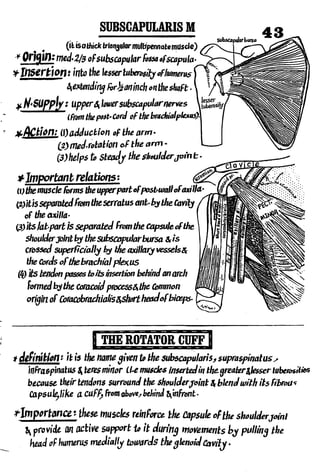 Anatomy of the Upper Limb by Sameh Doss.pdf