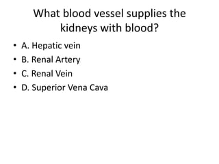 What blood vessel supplies the kidneys with blood?A. Hepatic veinB. Renal ArteryC. Renal VeinD. Superior Vena Cava
