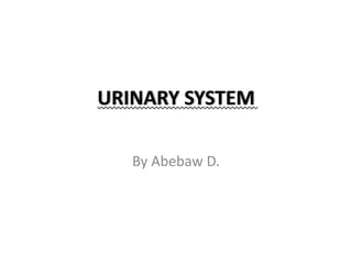 URINARY SYSTEM
By Abebaw D.
 