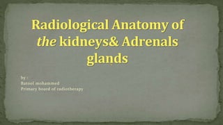by :
Batool mohammed
Primary board of radiotherapy
Radiological Anatomy of
the kidneys& Adrenals
glands
 