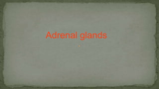 Adrenal glands
 