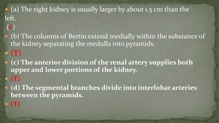  (a) The right kidney is usually larger by about 1.5 cm than the
left.
(F)
 (b) The columns of Bertin extend medially within the substance of
the kidney separating the medulla into pyramids.
 (T)
 (c) The anterior division of the renal artery supplies both
upper and lower portions of the kidney.
 (T)
 (d) The segmental branches divide into interlobar arteries
between the pyramids.
 (T)
 
