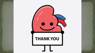 anatomy urinary system.pptx