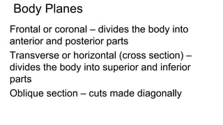 Anatomy and Physiology; Introduction to the human body | PPTX