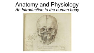 Anatomy and Physiology
An Introduction to the human body
 