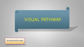 VISUAL PATHWAY
Dr.mohammed muneer
 