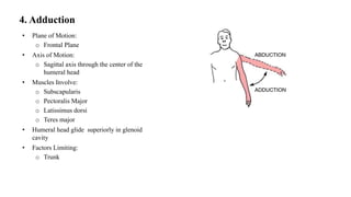 Anatomy and xrays of shoulder joint | PPTX