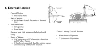 Anatomy and xrays of shoulder joint | PPTX