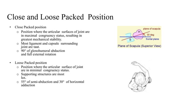 Anatomy and xrays of shoulder joint | PPT