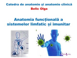 Anatomia funcțională a
sistemelor limfatic și imunitar
Catedra de anatomie și anatomie clinică
Belic Olga
 