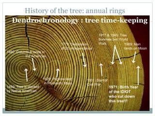 History of the tree: annual rings
1489: Tree is planted
by Native American
1492: Columbus lands in
the Americas
1620: Pilgrims land
in Plymouth, Mass.
1776: Declaration
of US independence
1861: Start of
Civil War
1969: Man
lands on Moon
1917 & 1945: Tree
Survives two World
Wars
1971: Birth Year
of the IDIOT
who cut down
this tree!!!
Dendrochronology : tree time-keeping
 