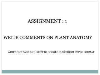ASSIGNMENT : 1
WRITE COMMENTS ON PLANT ANATOMY
WRITE ONE PAGE AND SENT TO GOOGLE CLASSROOM IN PDF FORMAT
 