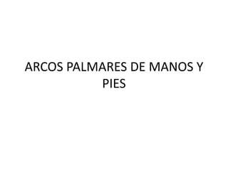 ARCOS PALMARES DE MANOS Y
PIES
 