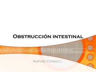 Obstrucción intestinal



      Nathally Cisneros L.
 