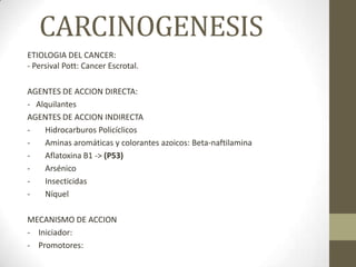CARCINOGENESIS
ETIOLOGIA DEL CANCER:
- Persival Pott: Cancer Escrotal.

AGENTES DE ACCION DIRECTA:
- Alquilantes
AGENTES DE ACCION INDIRECTA
-   Hidrocarburos Policíclicos
-   Aminas aromáticas y colorantes azoicos: Beta-naftilamina
-   Aflatoxina B1 -> (P53)
-   Arsénico
-   Insecticidas
-   Níquel

MECANISMO DE ACCION
- Iniciador:
- Promotores:
 