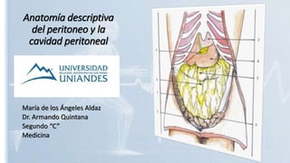 Anatomía descriptiva
del peritoneo y la
cavidad peritoneal
María de los Ángeles Aldaz
Dr. Armando Quintana
Segundo “C”
Medicina
 