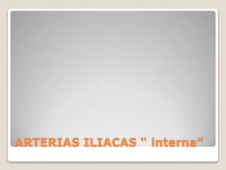 ARTERIAS ILIACAS “ interna”
 