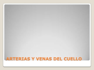 ARTERIAS Y VENAS DEL CUELLO
 