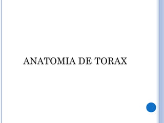 ANATOMIA DE TORAX 