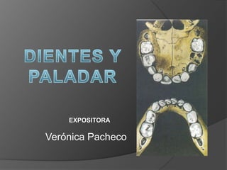 DIENTES Y PALADAR EXPOSITORA Verónica Pacheco 