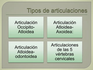 Articulación
Occipito-
Atloidea
Articulación
Atloidea-
Axoidea:
Articulación
Atloidea-
odontoidea
Articulaciones
de las 5
vértebras
cervicales
 