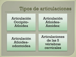 Articulación    Articulación
 Occipito-       Atloidea-
 Atloidea        Axoidea:


               Articulaciones
Articulación
                  de las 5
 Atloidea-
                 vértebras
odontoidea
                 cervicales
 