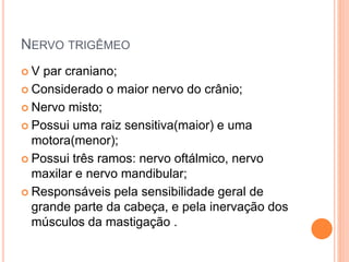NERVO TRIGÊMEO 
 V par craniano; 
 Considerado o maior nervo do crânio; 
 Nervo misto; 
 Possui uma raiz sensitiva(maior) e uma 
motora(menor); 
 Possui três ramos: nervo oftálmico, nervo 
maxilar e nervo mandibular; 
 Responsáveis pela sensibilidade geral de 
grande parte da cabeça, e pela inervação dos 
músculos da mastigação . 
 