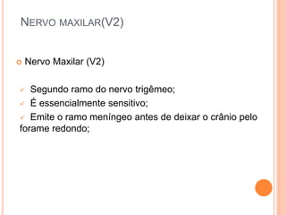 NERVO MAXILAR(V2) 
 Nervo Maxilar (V2) 
 Segundo ramo do nervo trigêmeo; 
 É essencialmente sensitivo; 
 Emite o ramo meníngeo antes de deixar o crânio pelo 
forame redondo; 
 