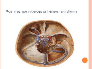 PARTE INTRACRANIANA DO NERVO TRIGÊMEO 
 
