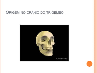 ORIGEM NO CRÂNIO DO TRIGÊMEO 
 