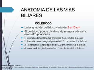 Anato vias biliares | PPTX