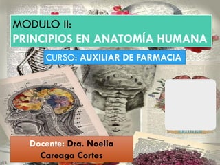 MODULO II:
PRINCIPIOS EN ANATOMÍA HUMANA
CURSO: AUXILIAR DE FARMACIA
Docente: Dra. Noelia
Careaga Cortes
 
