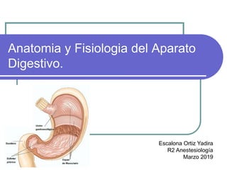 Anatomia y Fisiologia del Aparato
Digestivo.
Escalona Ortiz Yadira
R2 Anestesiología
Marzo 2019
 