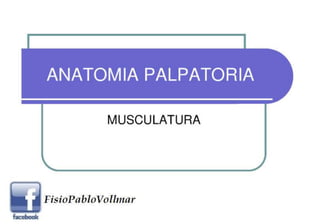 Anatomia Palpatoria