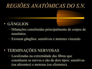 REGIÕES ANATÔMICAS DO S.N.
• GÂNGLIOS
– Dilatações constituídas principalmente de corpos de
neurônios.
– Existem gânglios: sensitivos e motores viscerais
• TERMINAÇÕES NERVOSAS
– Localizadas na extremidade das fibras que
constituem os nervos e são de dois tipos: sensitivas
(ou aferentes) e motoras (ou eferentes).
 