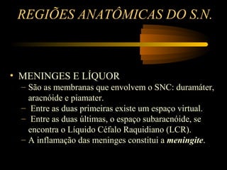 REGIÕES ANATÔMICAS DO S.N.
• MENINGES E LÍQUOR
– São as membranas que envolvem o SNC: duramáter,
aracnóide e piamater.
– Entre as duas primeiras existe um espaço virtual.
– Entre as duas últimas, o espaço subaracnóide, se
encontra o Líquido Céfalo Raquidiano (LCR).
– A inflamação das meninges constitui a meningite.
 