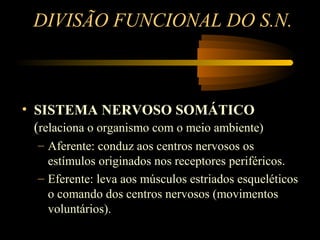 DIVISÃO FUNCIONAL DO S.N.
• SISTEMA NERVOSO SOMÁTICO
(relaciona o organismo com o meio ambiente)
– Aferente: conduz aos centros nervosos os
estímulos originados nos receptores periféricos.
– Eferente: leva aos músculos estriados esqueléticos
o comando dos centros nervosos (movimentos
voluntários).
 