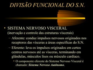 DIVISÃO FUNCIONAL DO S.N.
• SISTEMA NERVOSO VISCERAL
(inervação e controle das estruturas viscerais)
– Aferente: conduz impulsos nervosos originados nos
receptores das vísceras a áreas específicas do S.N.
– Eferente: leva os impulsos originados em certos
centros nervosos até as vísceras, terminando em
glândulas, músculos lisos ou músculo cardíaco.
• O componente eferente do Sistema Nervoso Visceral é
chamado: Sistema Nervoso AutônomoSistema Nervoso Autônomo.
 