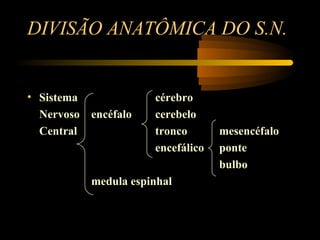 DIVISÃO ANATÔMICA DO S.N.
• Sistema cérebro
Nervoso encéfalo cerebelo
Central tronco mesencéfalo
encefálico ponte
bulbo
medula espinhal
 