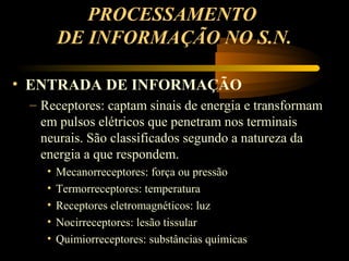 PROCESSAMENTO
DE INFORMAÇÃO NO S.N.
• ENTRADA DE INFORMAÇÃO
– Receptores: captam sinais de energia e transformam
em pulsos elétricos que penetram nos terminais
neurais. São classificados segundo a natureza da
energia a que respondem.
• Mecanorreceptores: força ou pressão
• Termorreceptores: temperatura
• Receptores eletromagnéticos: luz
• Nocirreceptores: lesão tissular
• Quimiorreceptores: substâncias químicas
 