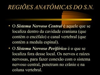 REGIÕES ANATÔMICAS DO S.N.
• O Sistema Nervoso Central é aquele que se
localiza dentro da cavidade craniana (que
contém o encéfalo) e canal vertebral (que
contém a medula espinal).
• O Sistema Nervoso Periférico é o que se
localiza fora desse local. Os nervos e raízes
nervosas, para fazer conexão com o sistema
nervoso central, penetram no crânio e na
coluna vertebral.
 
