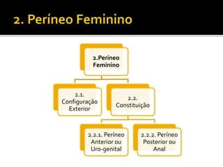 2.Períneo 
Feminino 
2.1. 
Configuração 
Exterior 
2.2. 
Constituição 
2.2.1. Períneo 
Anterior ou 
Uro-genital 
2.2.2. Períneo 
Posterior ou 
Anal 
 