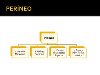 PERÍNEO 
1. Períneo 
Masculino 
2. Períneo 
Feminino 
3. Espaço 
Pélvi-Rectal 
Superior 
4. Espaço 
Pélvi-Rectal 
Inferior 
 