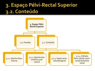 3. Espaço Pélvi- 
Rectal Superior 
3.1. Paredes 3.2. Conteúdo 
3.2.1. Bainha Ilíaca 
Interna 
3.2.2. Aponevrose 
Umbilico-pré-vesical 
3.2.3. Septo recto-vesical/ 
vaginal 
3.2.4. Folheto 
fibro-celular recto-rectal 
da bainha 
rectal 
 