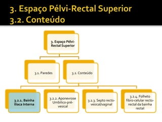 3. Espaço Pélvi- 
Rectal Superior 
3.1. Paredes 3.2. Conteúdo 
3.2.1. Bainha 
Ilíaca Interna 
3.2.2. Aponevrose 
Umbilico-pré-vesical 
3.2.3. Septo recto-vesical/ 
vaginal 
3.2.4. Folheto 
fibro-celular recto-rectal 
da bainha 
rectal 
 
