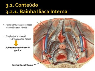 • Passagem aos vasos ilíacos 
internos e seus ramos 
• Porção justa-visceral 
• Lâmina púbissacro 
Aponevrose sacro-recto-genital 
Bainha Ilíaca Interna 
 