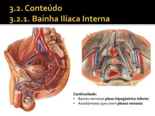 Continuidade: 
• Ramos nervosos plexo hipogástrico inferior 
• Anastomoses que unem plexos venosos 
 